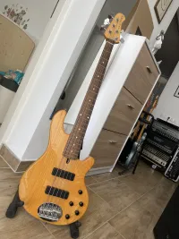 Lakland Skyline 55-01 Bass guitar - Heat [Today, 4:24 pm]