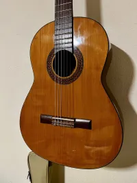 Martin - Roderich Paesold - P110 Klasická gitara - Freki [Today, 8:18 am]