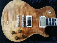 Paul Reed Smith McCarty 594 SC Ltd. Elektrická gitara - Franto [Today, 7:11 pm]