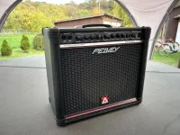 Peavey ENVOY 110 Peavey ENVOY 110