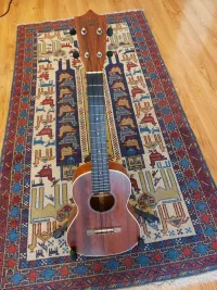 Sigma Sigma SUM 2T tenor ukulele Ukulele - Janos Orsolya [Yesterday, 11:35 am]