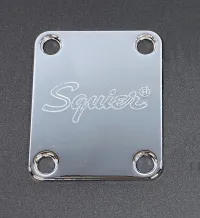 Squier Nyaklemez Komponente - DaveTown [Today, 1:13 pm]