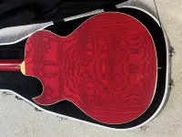 Washburn EA17