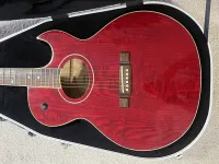Washburn EA17 Washburn EA17