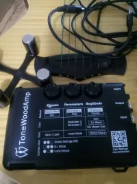 - Tonewood Acoustic guitar electronics - Fekete Gábor [Today, 4:27 pm]