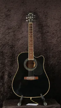 Cort AD880CE BK Cort AD880CE BK