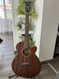 Cort SFX-MEM OP Elektro-Akkustik Guitarre - vlagyimiriljics [Today, 8:48 am]