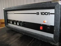 Dynacord B1001 Bass guitar amplifier - Fender 67 [Today, 10:27 am]