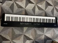 Roland FP-4 Digital piano - bassky [Today, 10:40 am]