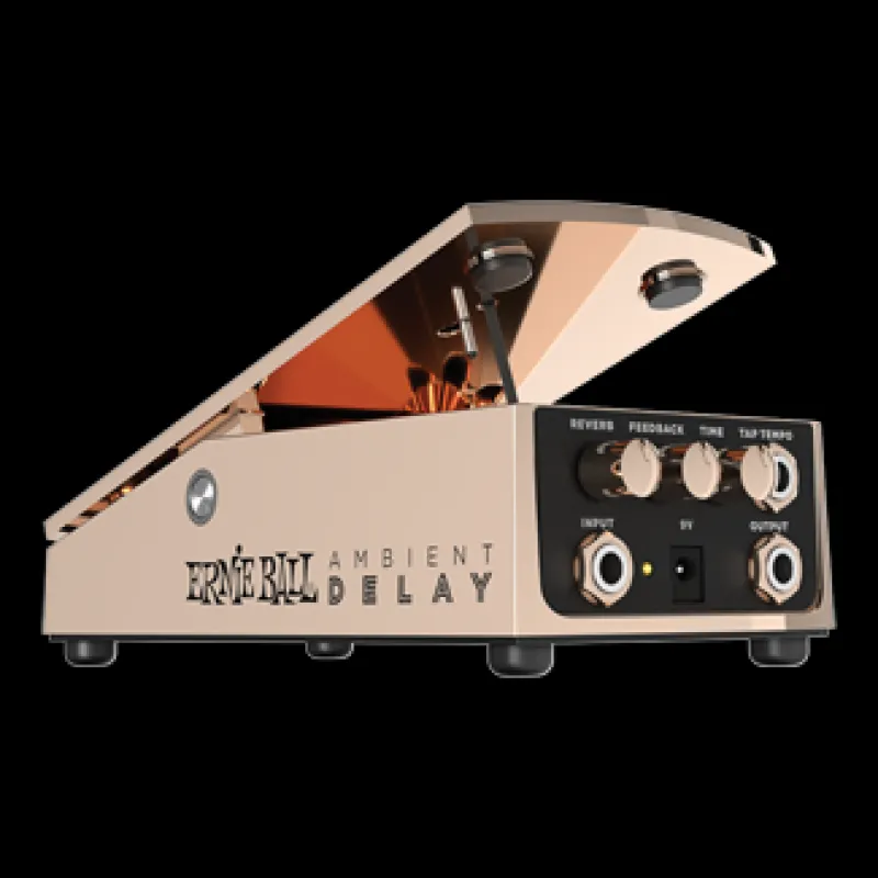Ernie Ball Delay expression Effect pedal