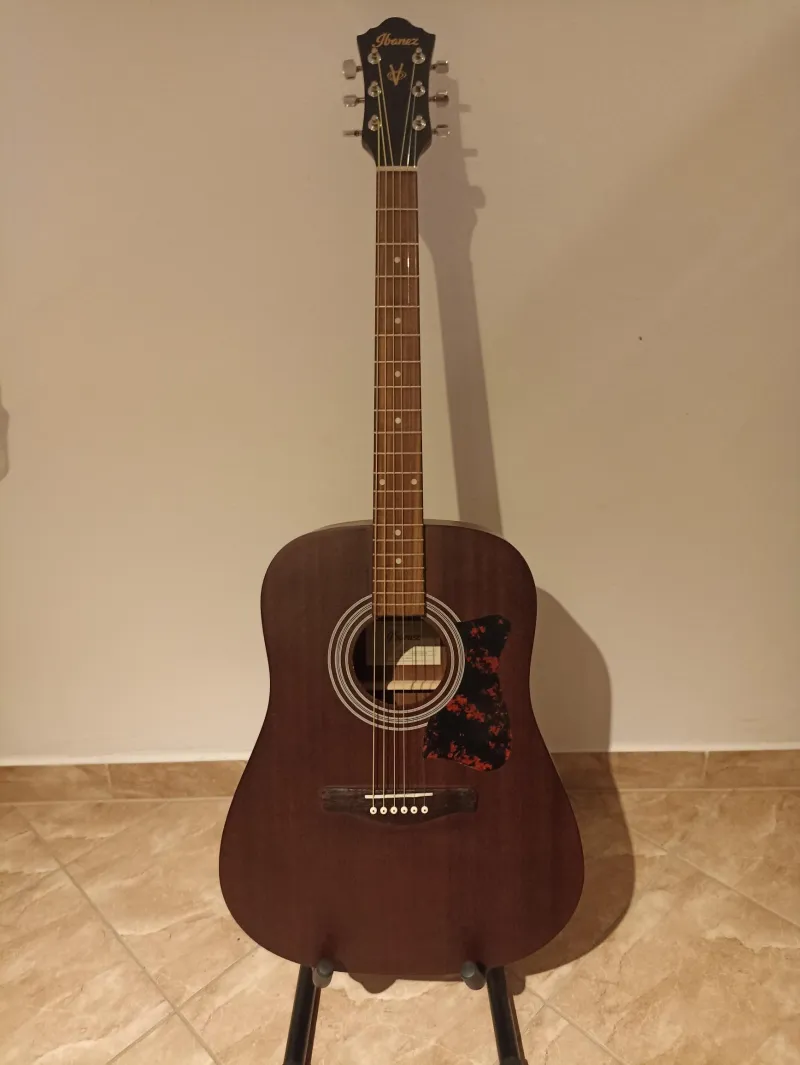 Ibanez V54NJP-OPN Acoustic guitar