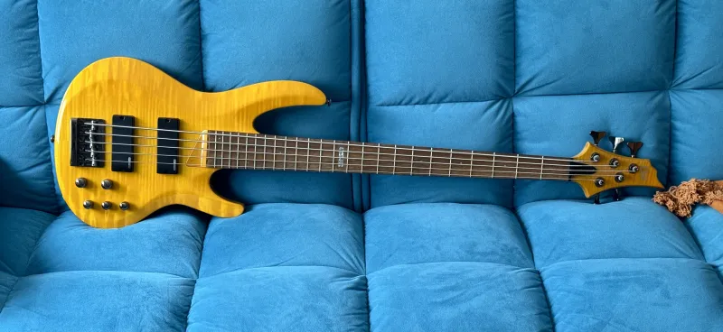 LTD B 155DX 5-Saiter Bass-Gitarre