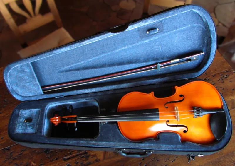 Valencia VA400-16 Custom Bratsche