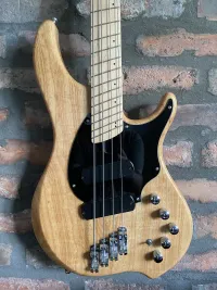 Dingwall Combustion 2 pickup Bass Gitarre - Tozsi [Day before yesterday, 4:27 pm]