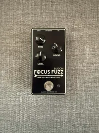 Great Eastern FX Co. Focus  Silicon