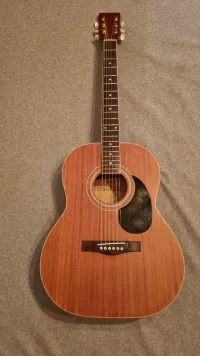 Harley Benton CG45 Harley Benton CG45