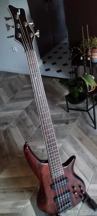 Jackson JS Spectra Bass JS3V Modell Bass Gitarre - Szanyi József [Yesterday, 7:26 pm]