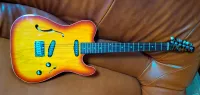 Ken Rose Tl830 Thinline Telecaster Ken Rose Tl830 Thinline Telecaster