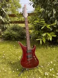 Schecter Hellraiser Avenger Electric guitar - Wakk Zylde [Today, 10:41 am]