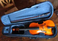 Valencia VA400-16 Custom Viola - kecsua5457 [Yesterday, 2:53 pm]