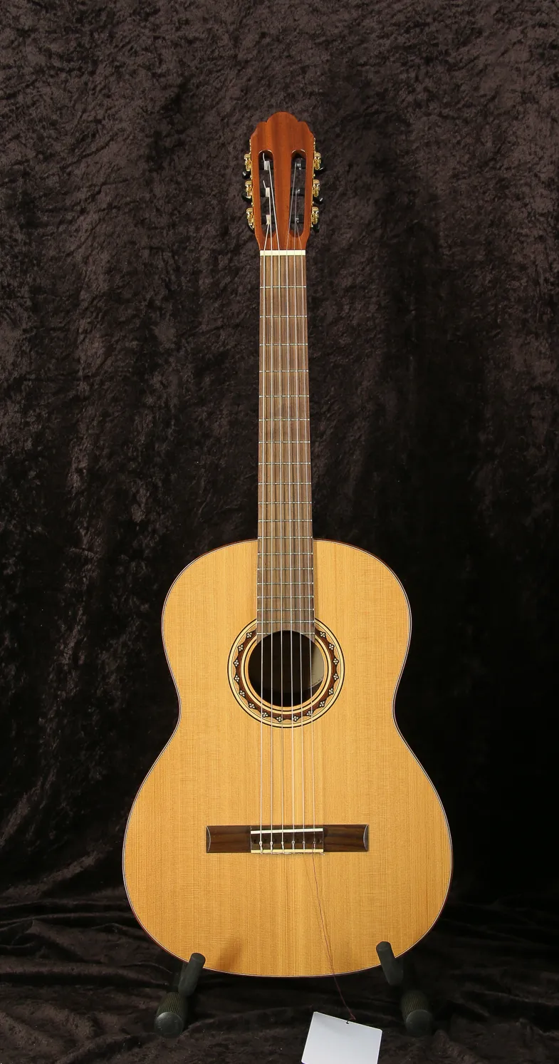 - VGS Pro Andalus model 10 Guitarra clásica