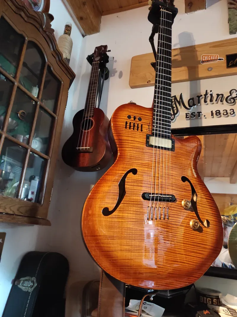 Godin  Jazzgitár