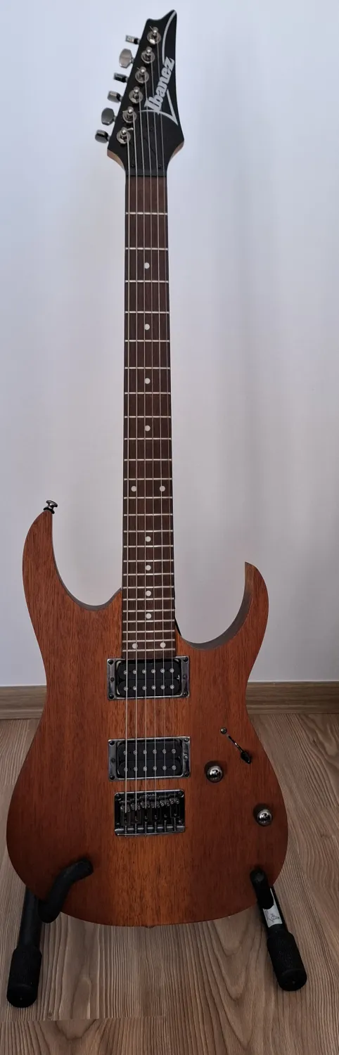 Ibanez RG421-MOL Electric guitar