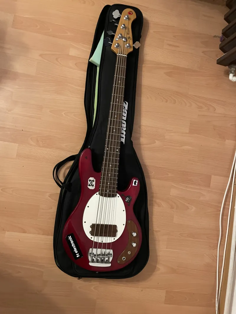 Jay Turser MM Bass guitar 5 strings