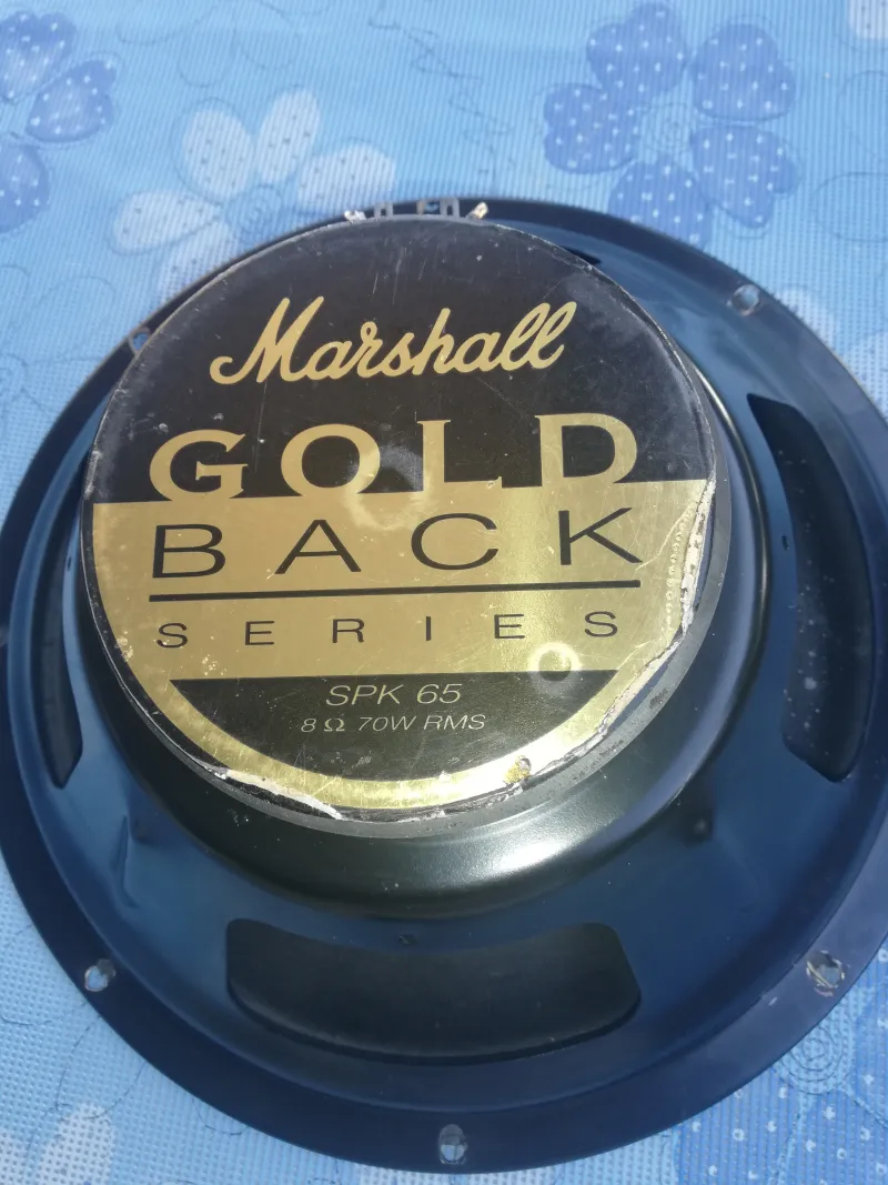 Marshall Gold Back Altavoz