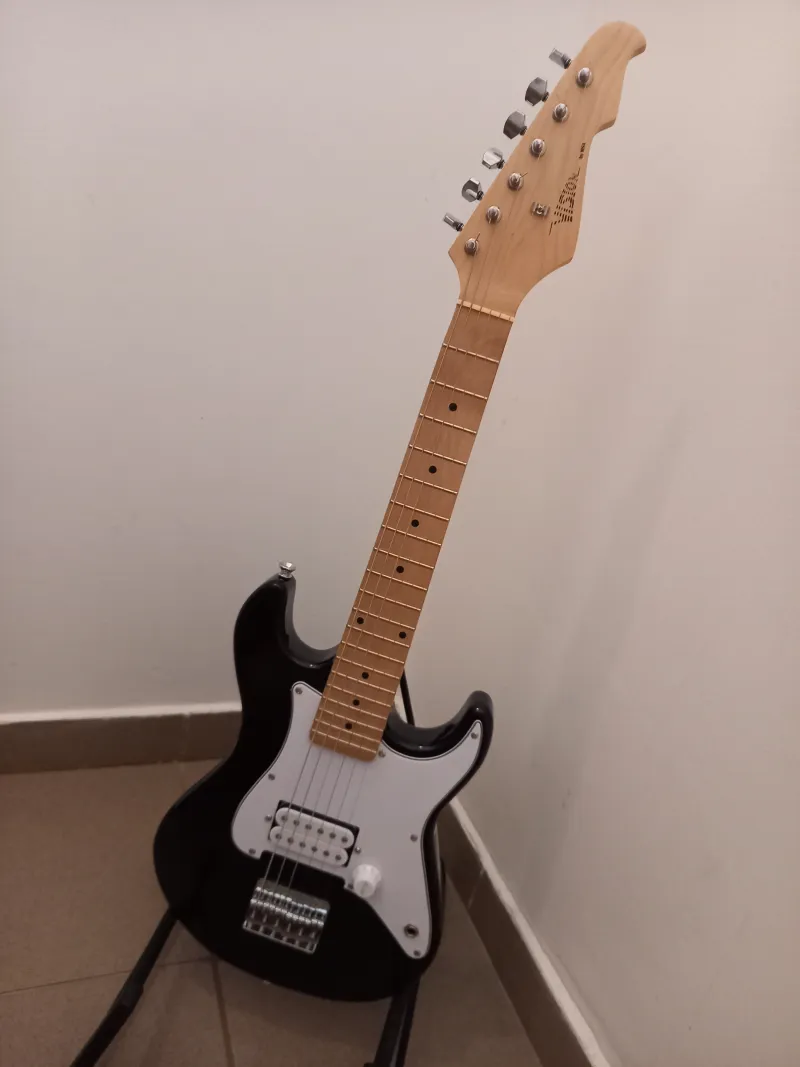 Vision 12 Electric guitar