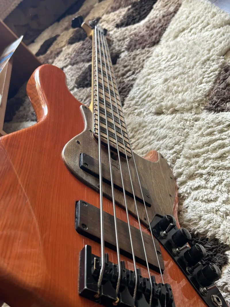 Woodhead  Bass guitar 5 strings