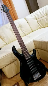 Cort Action V Plus Bajo de 5 cuerdas - DÁdám [Today, 9:12 am]