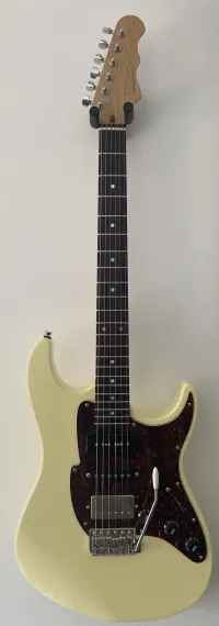 Fret-King Corona GW Geoff Whitehorn Signature FKV6GW E-Gitarre - kutjaaa [Yesterday, 7:38 pm]