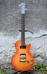 Gibson Les Paul Gary Moore Gibson Les Paul Gary Moore