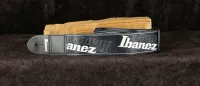 Ibanez GSD50P6
