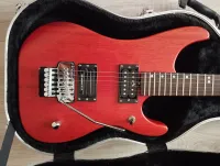 Washburn N2 Washburn N2