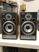 Edirol MA 20D Edirol MA 20D