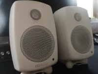 Genelec 8010AW Genelec 8010AW