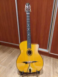 Gitane John Jorgenson DG-300