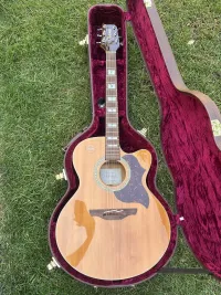 Takamine EG523SC Takamine EG523SC