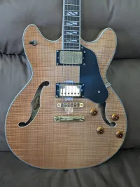 Washburn HB-35 Jazzová gitara - Guitarplayer [Today, 2:26 pm]