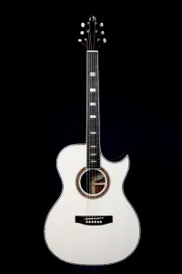 Erhard Handmade Instruments OMC-2424 Erhard Handmade Instruments OMC-2424