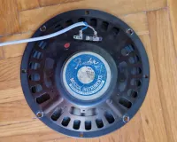 Fender Fender