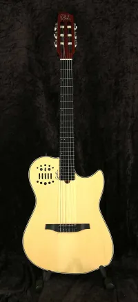 Godin Multiac SA Nylon NT Elektroakustická gitara - Vintage52 Hangszerbolt és szerviz [Today, 3:16 pm]
