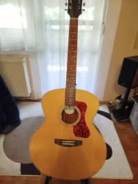 Guild F240e + LR BAGGS Anthem