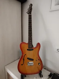 Ken Rose Thinline Telecaster Electric guitar - Gidacore [Yesterday, 8:25 pm]