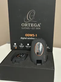 Ortega ODWS-1  Digital Wireless System Prijímač - László Bóna [Today, 12:30 pm]
