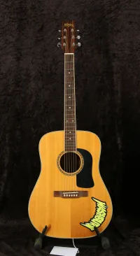 Washburn D-9S MII Washburn D-9S MII