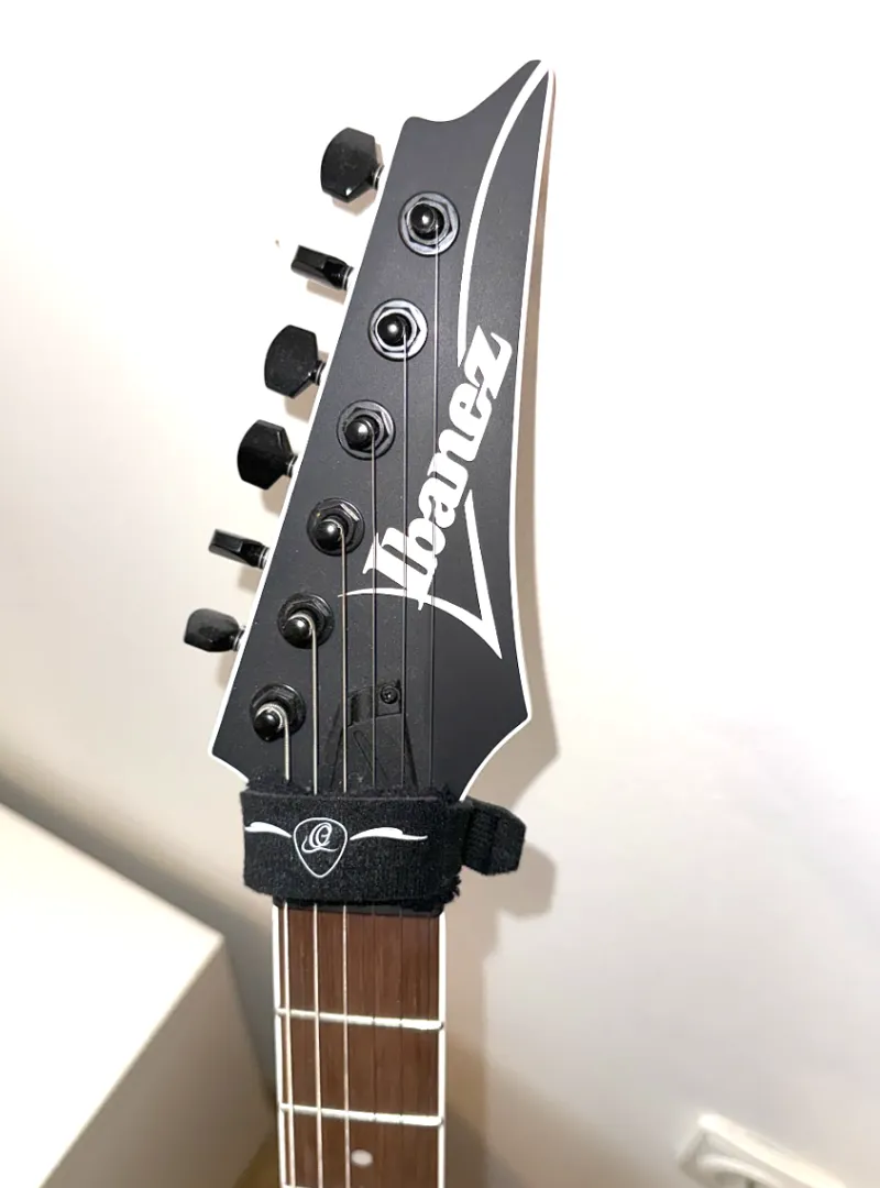 Ibanez RG421EX-BKF Guitar Electric guitar