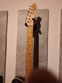 Allparts Telecaster Nyak - jasipapa [Ma, 00:17]